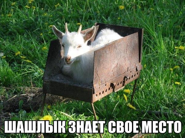 С майскими праздниками! | Пикабу
