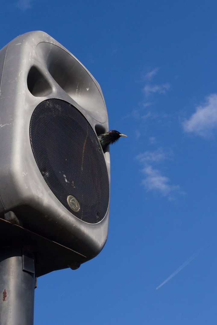 почему нет звука playstation 3 почему нет звука playstation 3