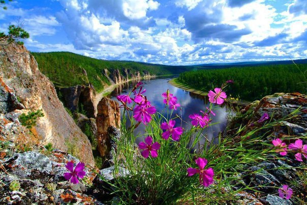 Красивая Природа Якутии Фото