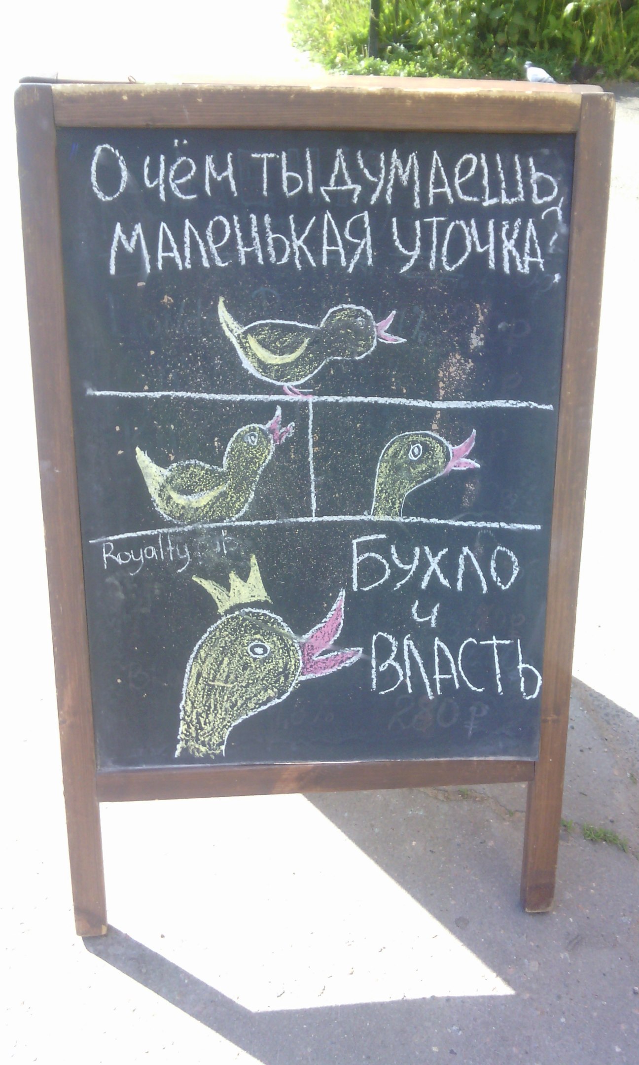 Уточка | Пикабу