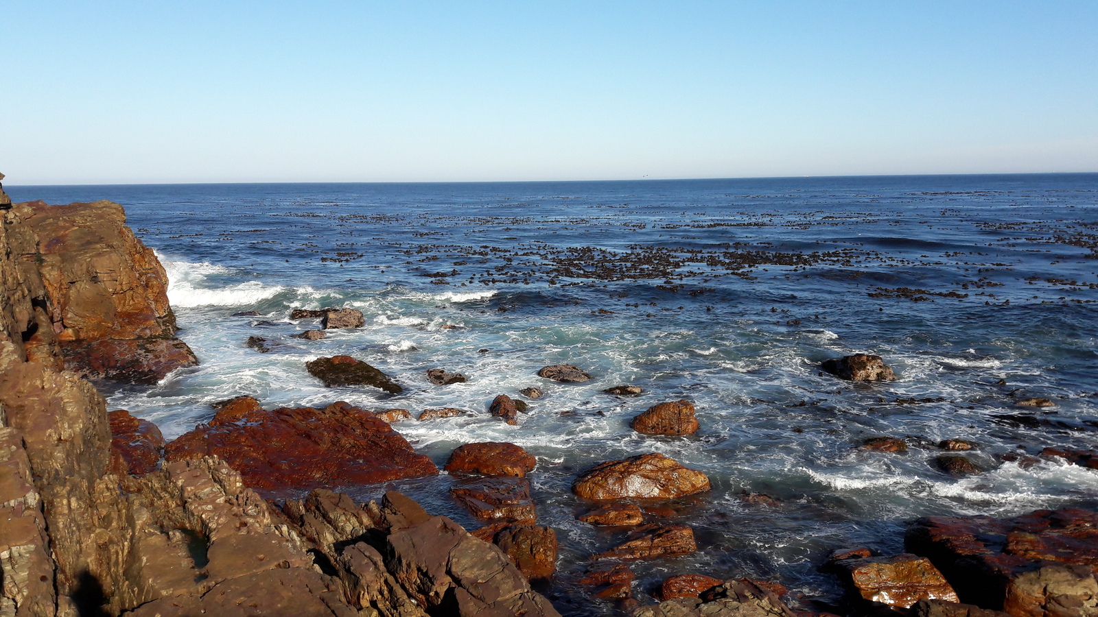 Cape of Good Hope - My, South Africa, Photo, Ostrich, Панорама, Cape of Good Hope, Longpost