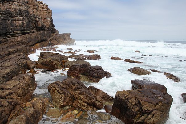 Cape of Good Hope - Моё, ЮАР, Фото, Страус, Панорама, Мыс доброй надежды, Длиннопост