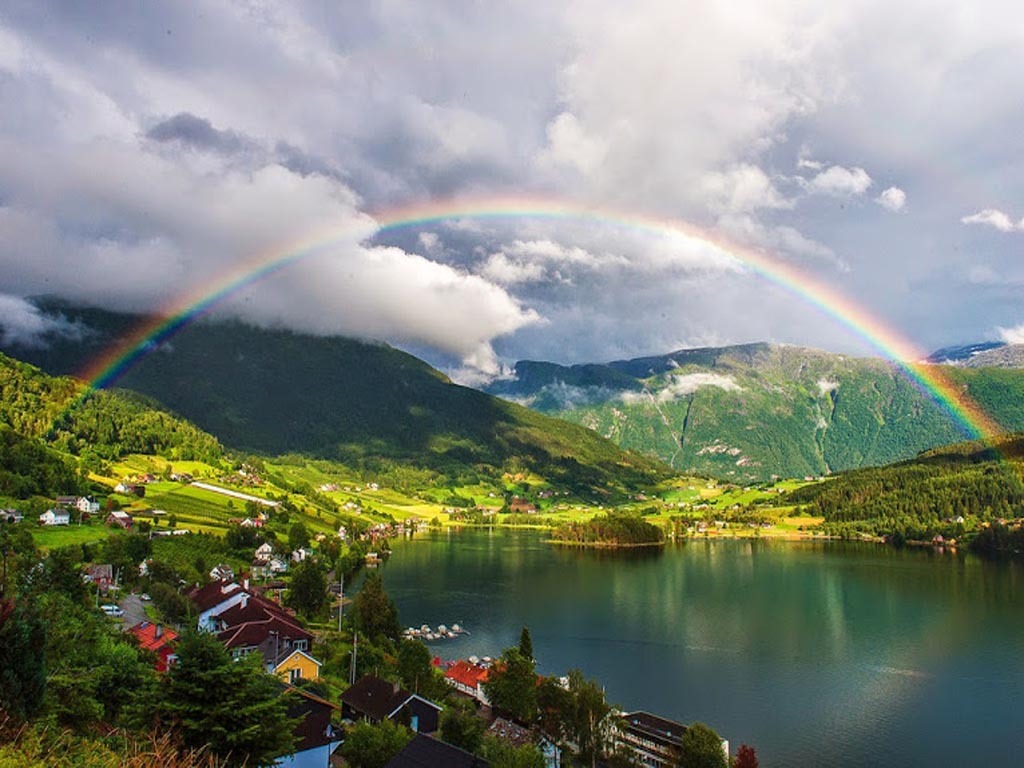 Rainbow | Пикабу