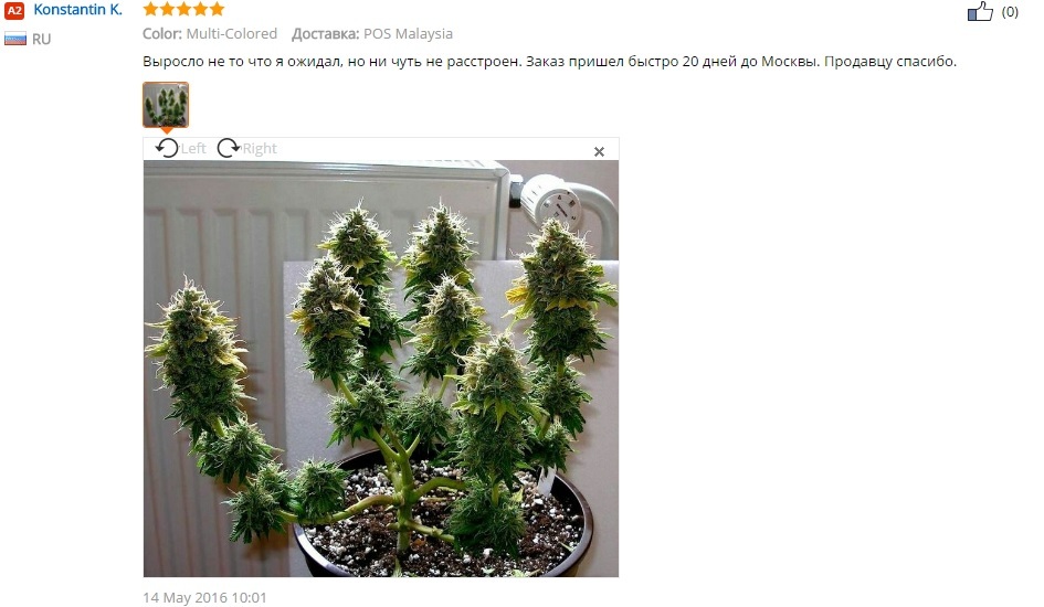 Aliexpress семена марихуаны установить флеш плеер на тор браузер hyrda