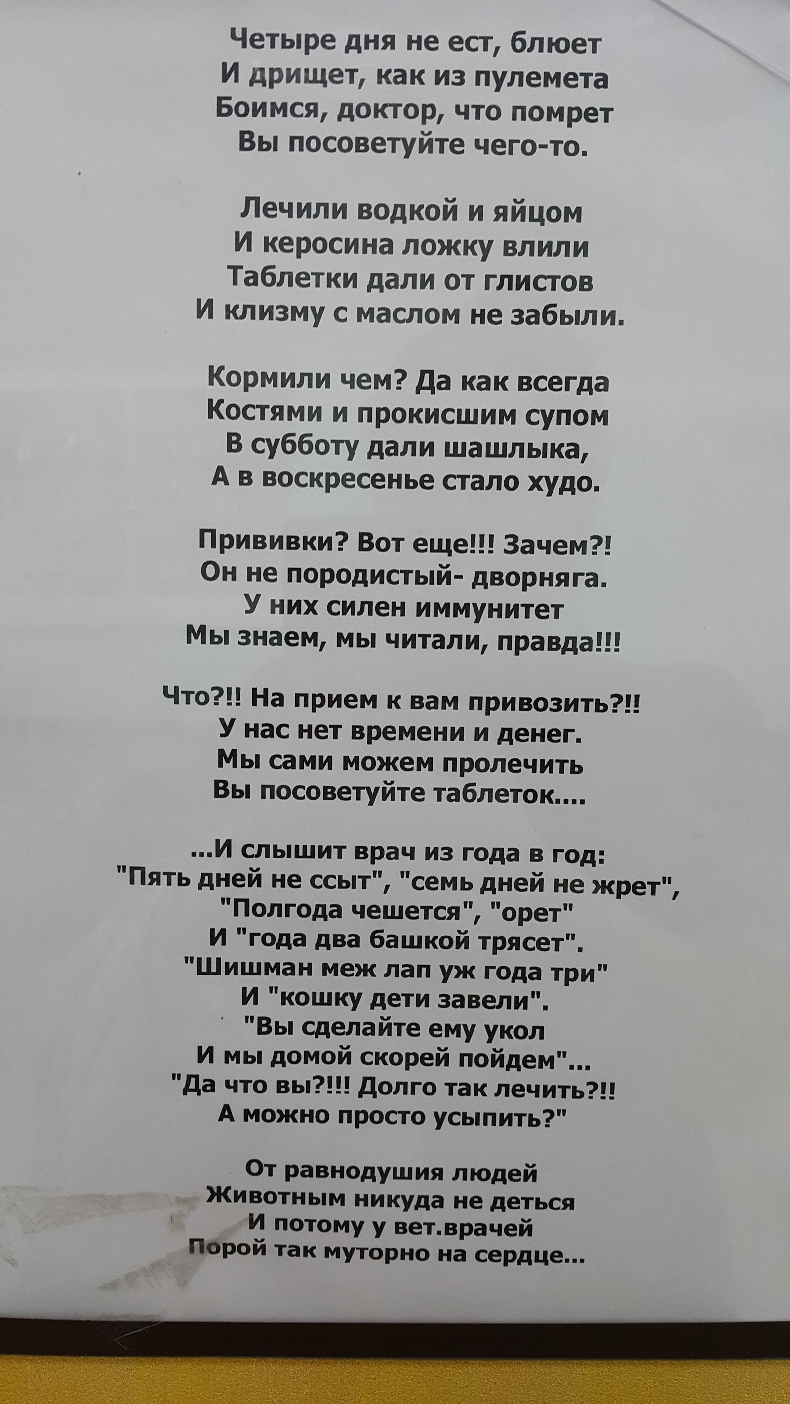 Про домашних любимцев | Пикабу