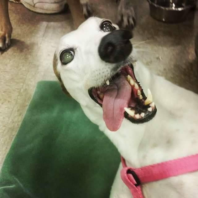 Привееееет! | Пикабу