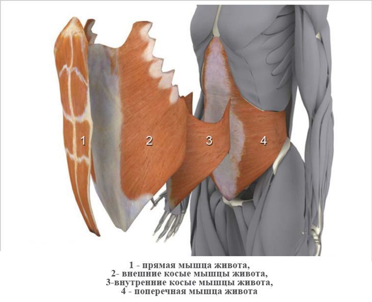 We remove the stomach and make the waist narrower. - My, Exercises, Vacuum, Press, Yoga, Workout, Figure, Waist, Stomach, Longpost