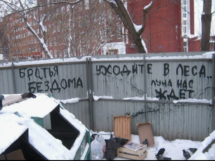 Подборка надписей | Пикабу