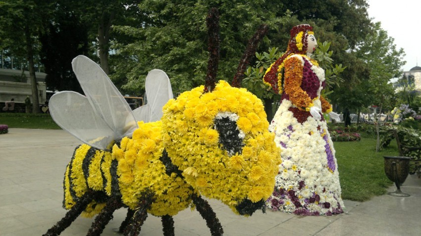 Мероприятие день цветов. Праздник цветов. Праздник день цветов. Фестиваль цветов в Баку. Праздник цветов в Азербайджане.