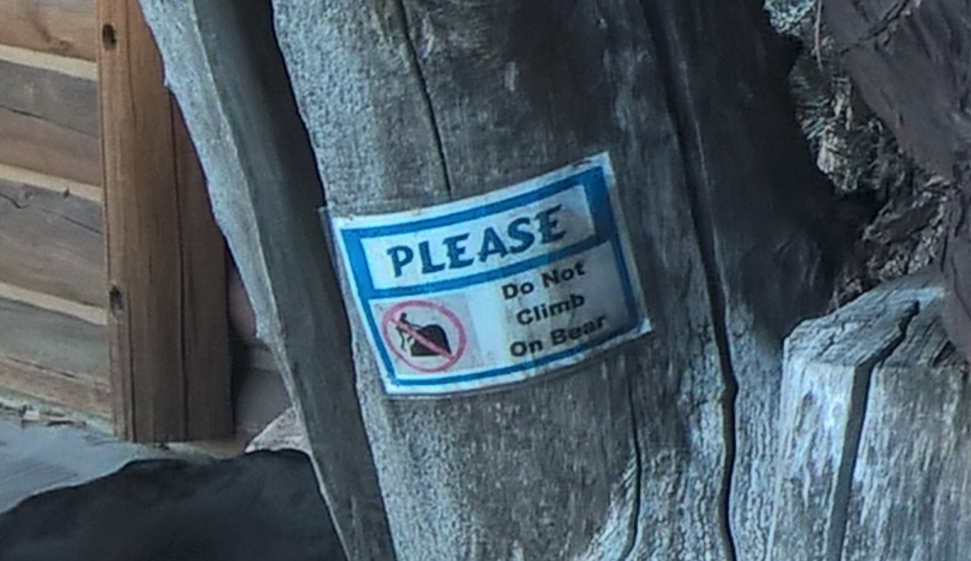 Do Not Climb On Bear - Моё, Юта, США, Фото, Медведь, Lumia 640 xl, Garden City, Bear lake, Медведи, Lumia 640