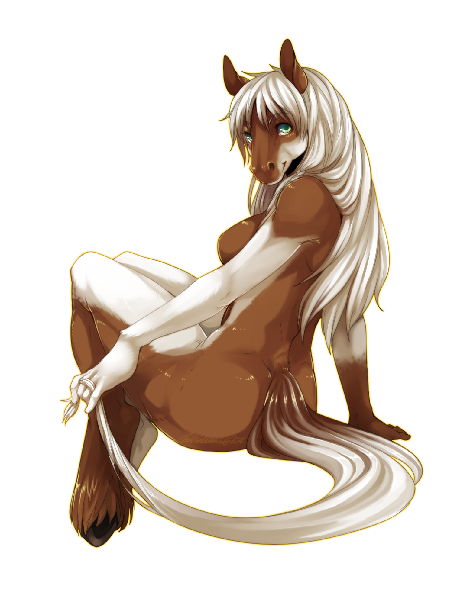 Xetsa - NSFW, Cookiehana, Фурри, Антро, Арт, Furotica, Furry Horse, Furry equidae