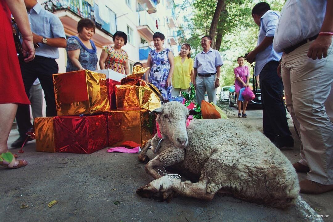 Вы точно человек?