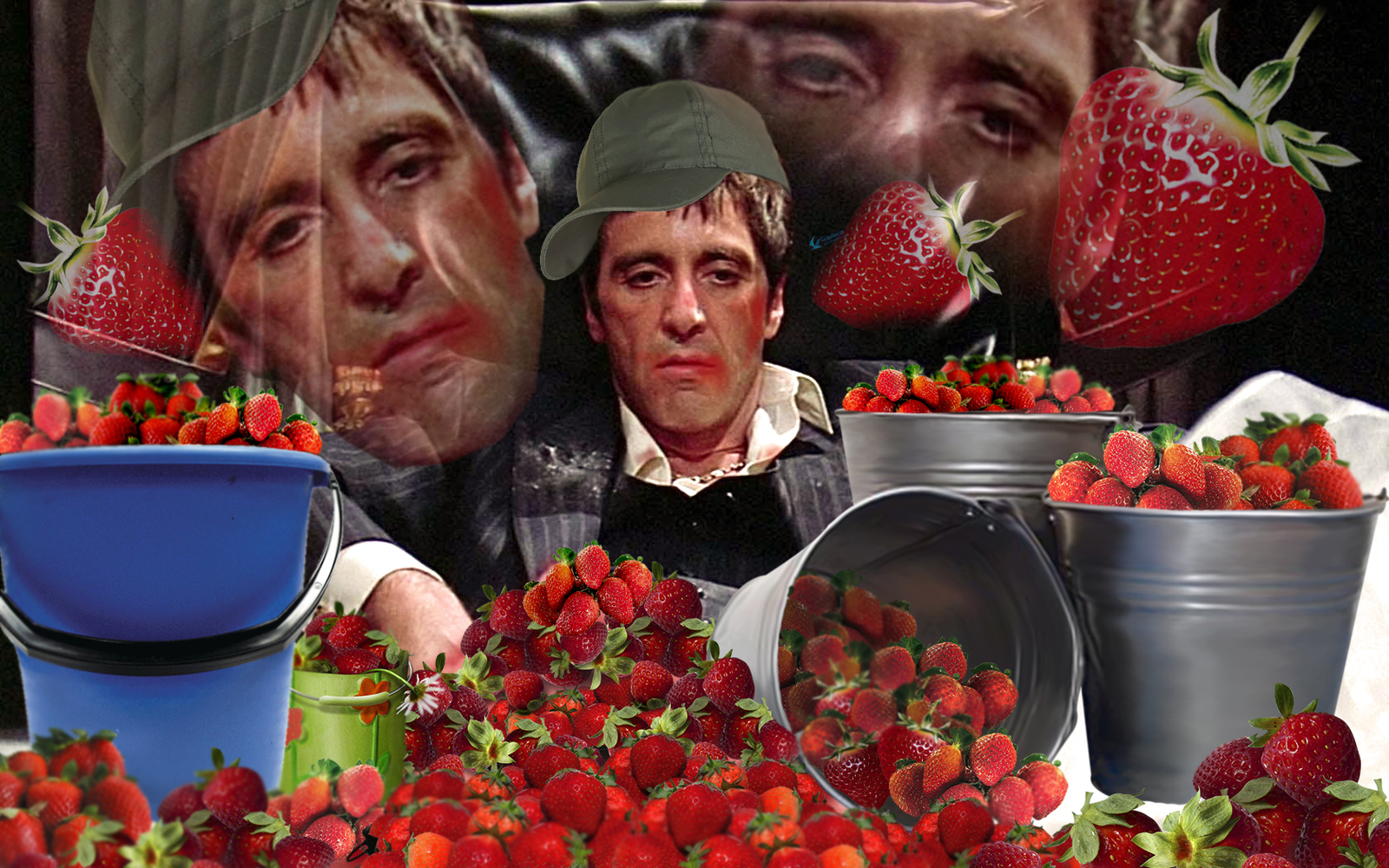 When I spent half a day picking strawberries - My, Summer, Al Pacino