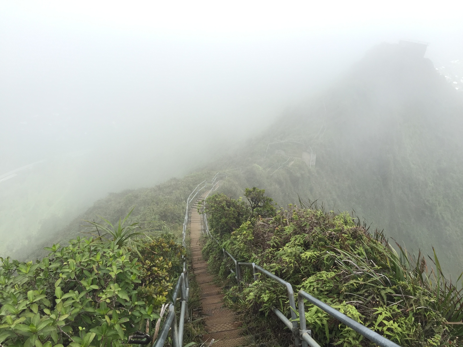 Stairway to Heaven (Haiku Stairs) - My, Hawaii, Haiku Stairs, stairway to Heaven, Stairway to Heaven, The mountains, Honolulu, Clouds, Longpost