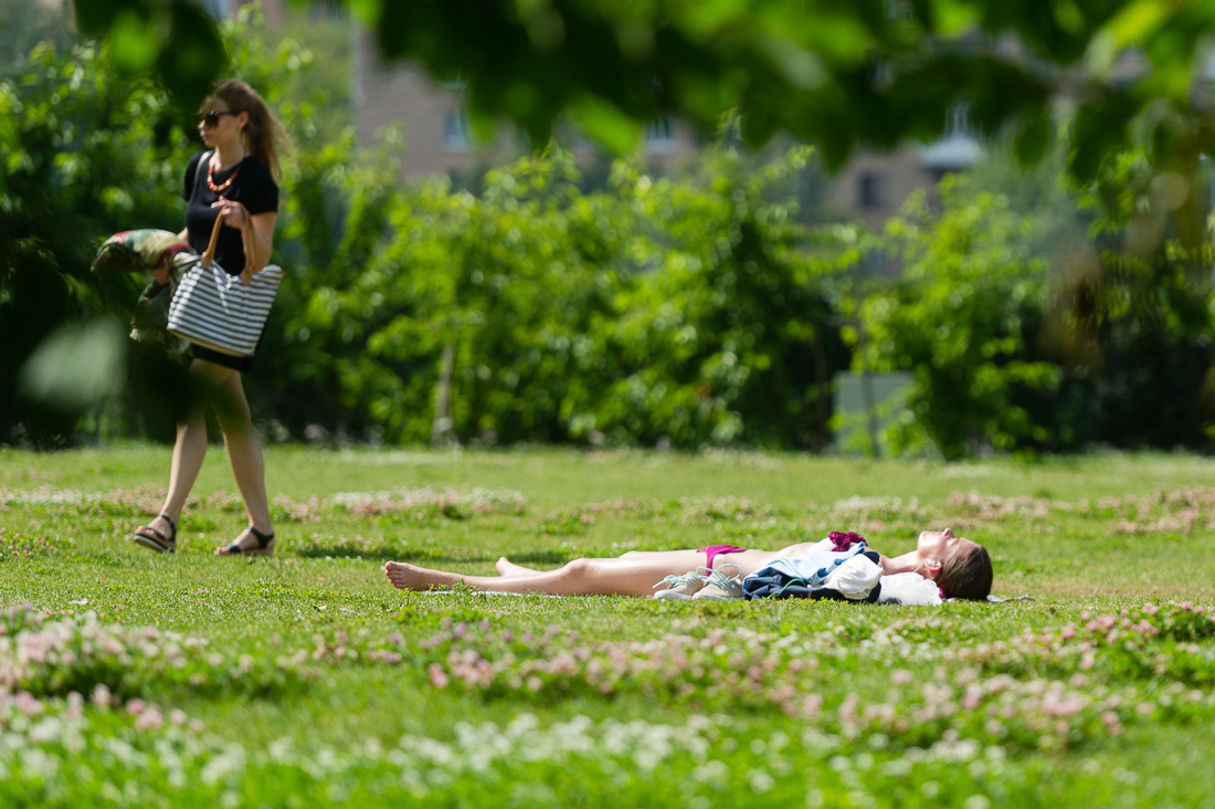 Загорают в парках. Загорает в кустах. Парк горького девушки загорают. Девушки загорают в парке. Отдыхаем на даче.