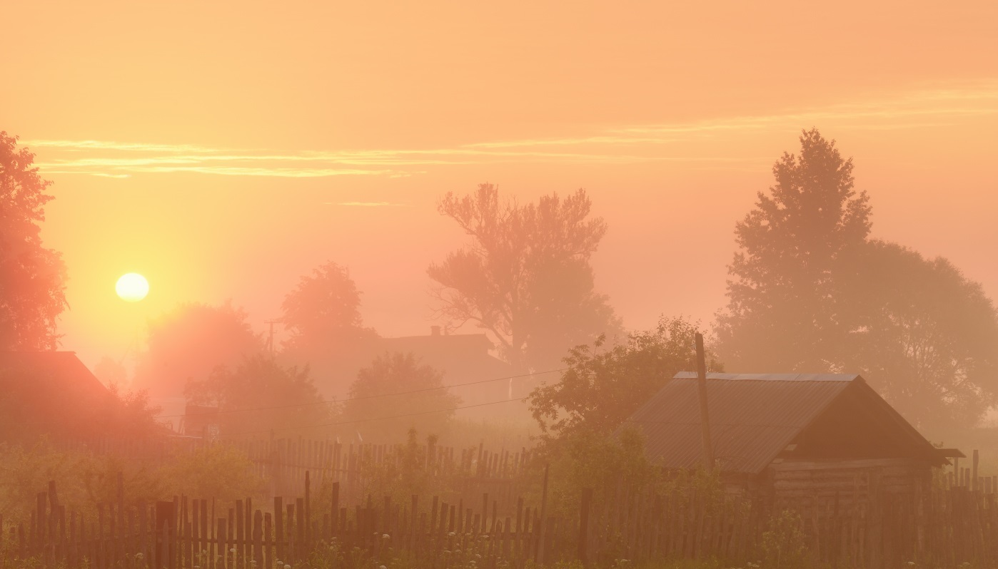 Зорька | Пикабу