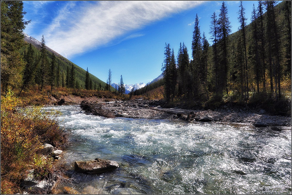 The Katun River and its tributaries - Katun, Mountain Altai, Russia, Summer, Nature, Go, Photo, The photo, Longpost, Altai Republic