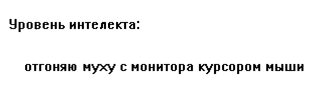 Уровень интелекта - Моё, Лето, Компьютер, Деградация