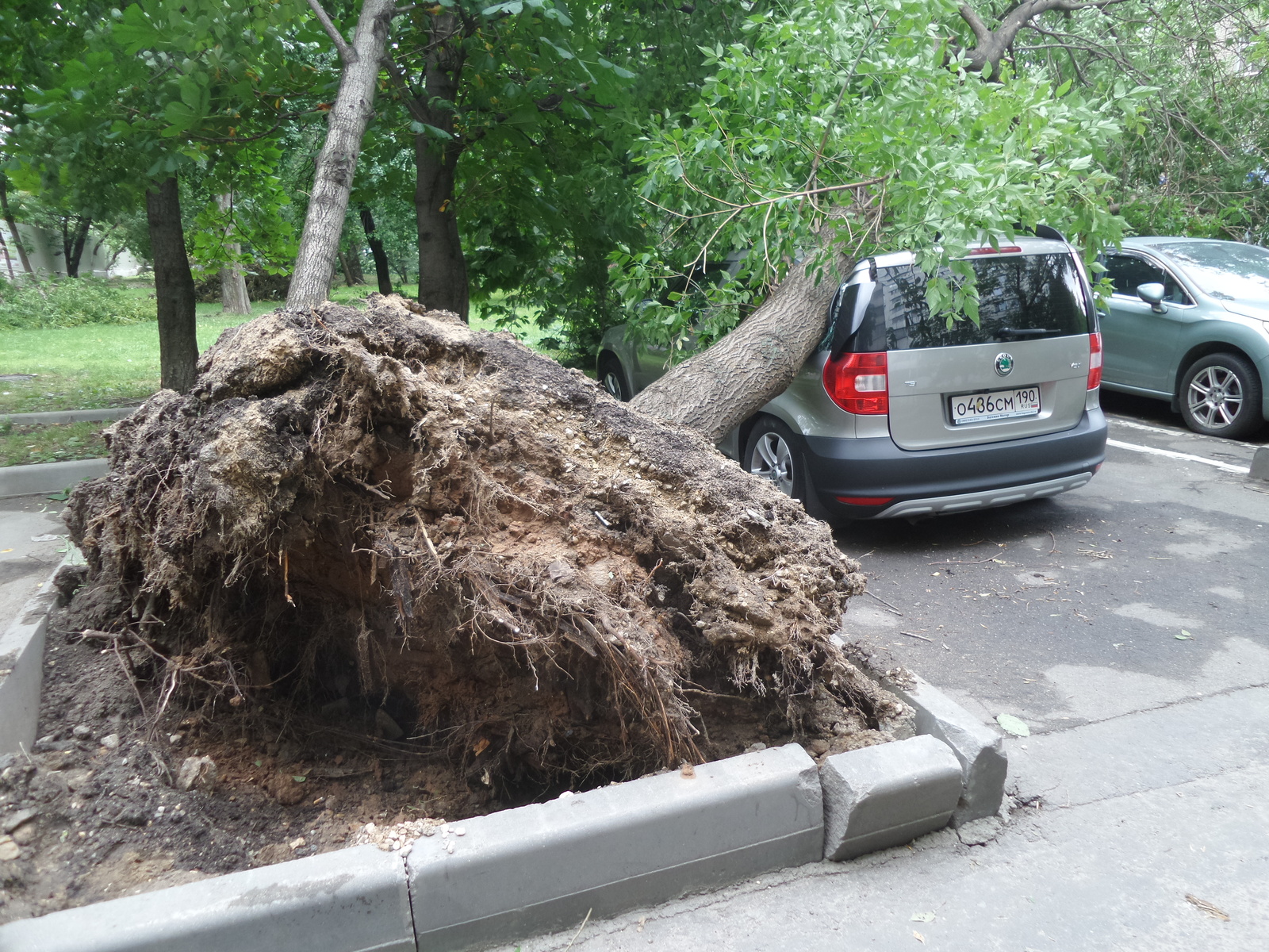 Последствия урагана от 13.07 в Москве: Марьина роща | Пикабу