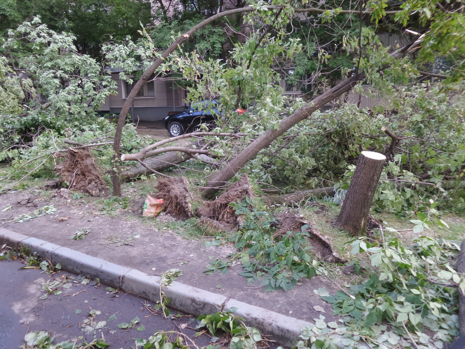 Последствия урагана от 13.07 в Москве: Марьина роща | Пикабу