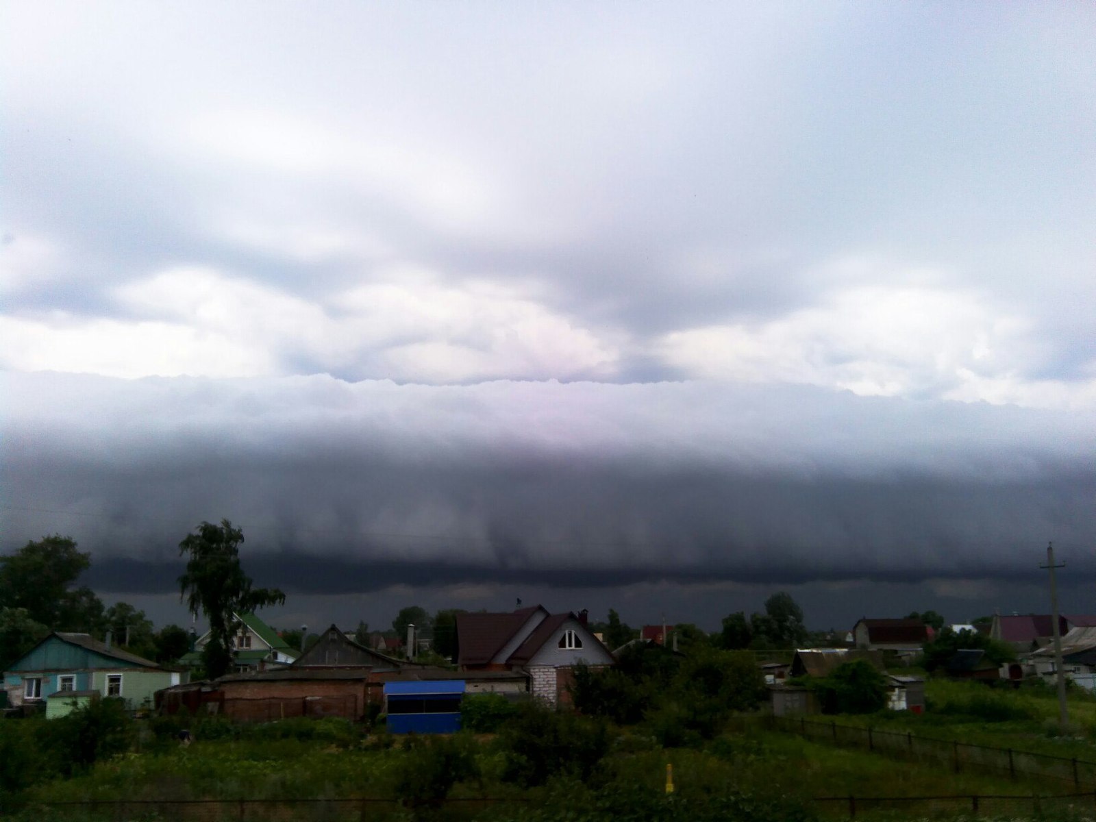 Тропический Курск | Пикабу