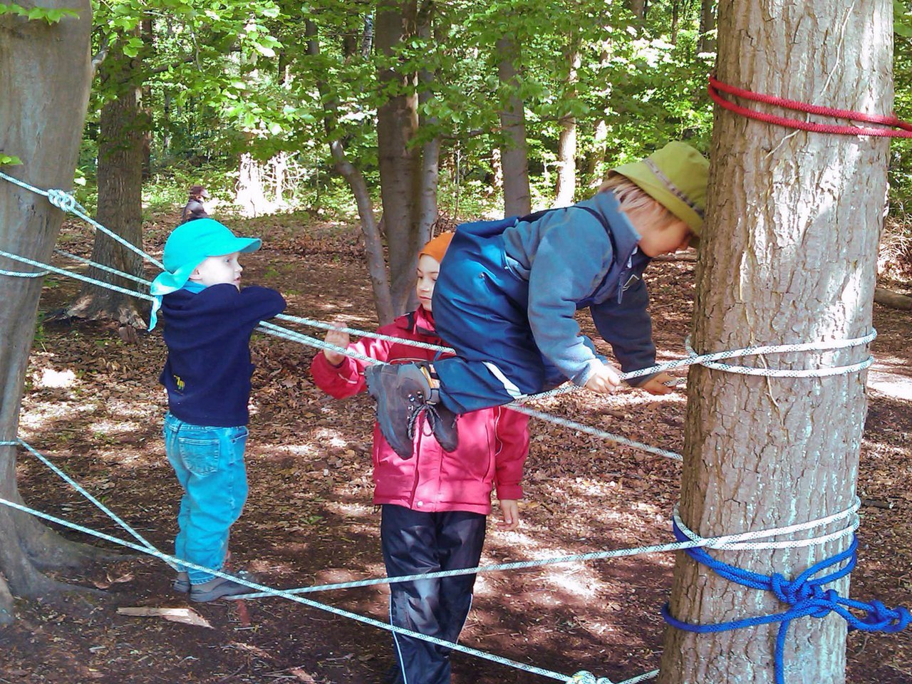 Лесной детский сад. Waldkindergarten (Лесной детский сад). Waldkindergarten в Германии. Лесной детский сад в Германии. Waldkindergarten Лесные детские сады из Германии.