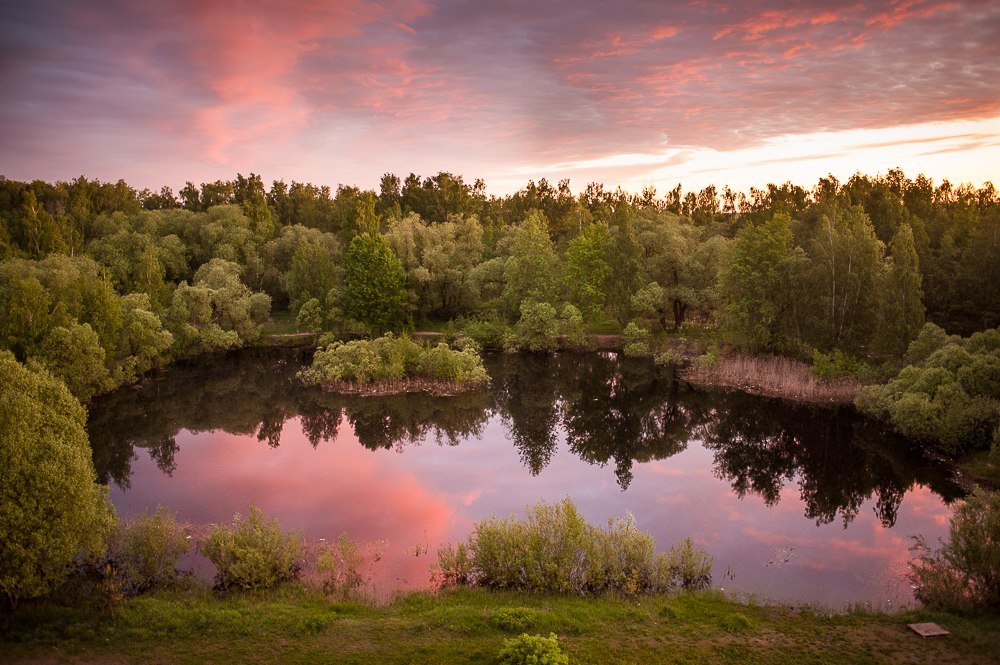 One pond, four seasons - Pond, Seasons, Photo, Longpost