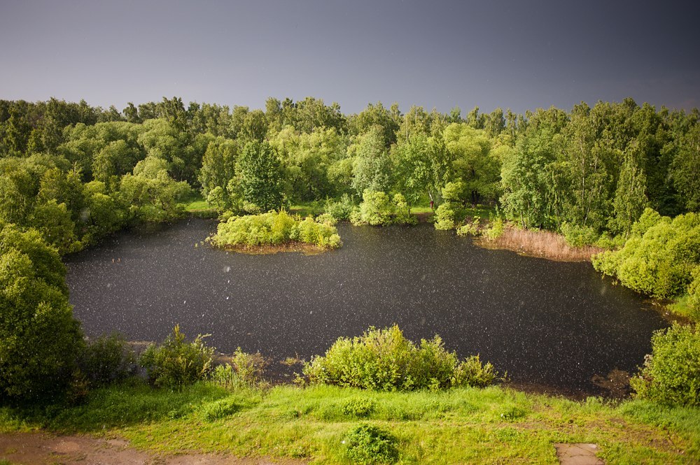 One pond, four seasons - Pond, Seasons, Photo, Longpost