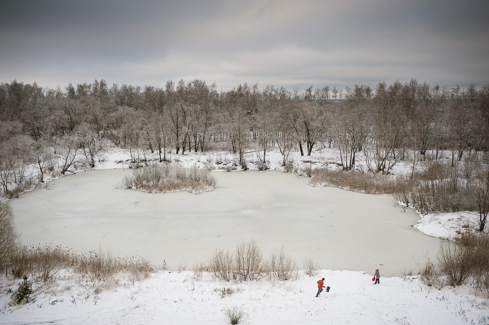 One pond, four seasons - Pond, Seasons, Photo, Longpost