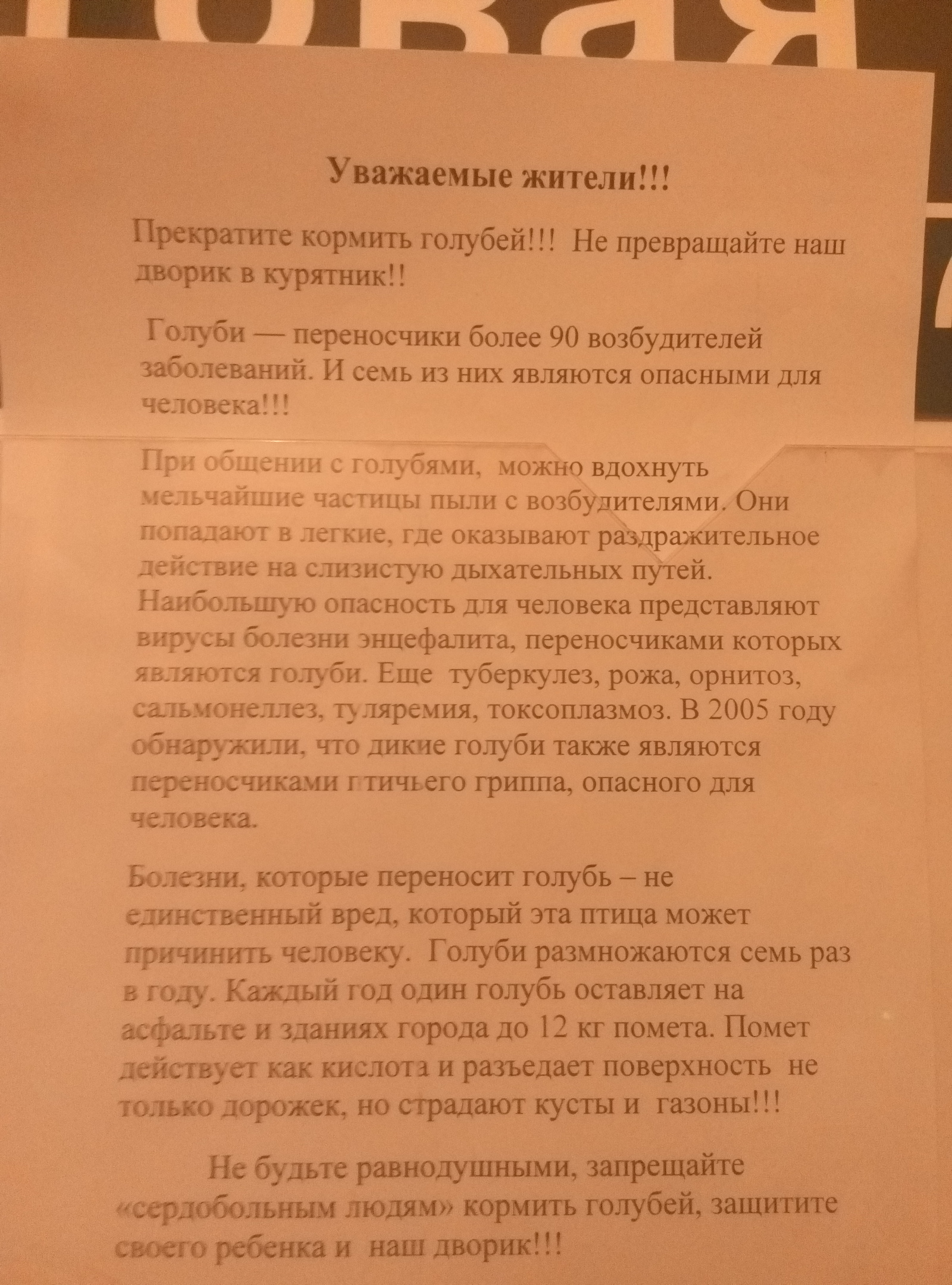 Как пишется голубей. Не кормите голубей объявление. Объявление о запрете кормить голубей. Жалоба на кормление голубей. Уважаемые соседи не кормите голубей.