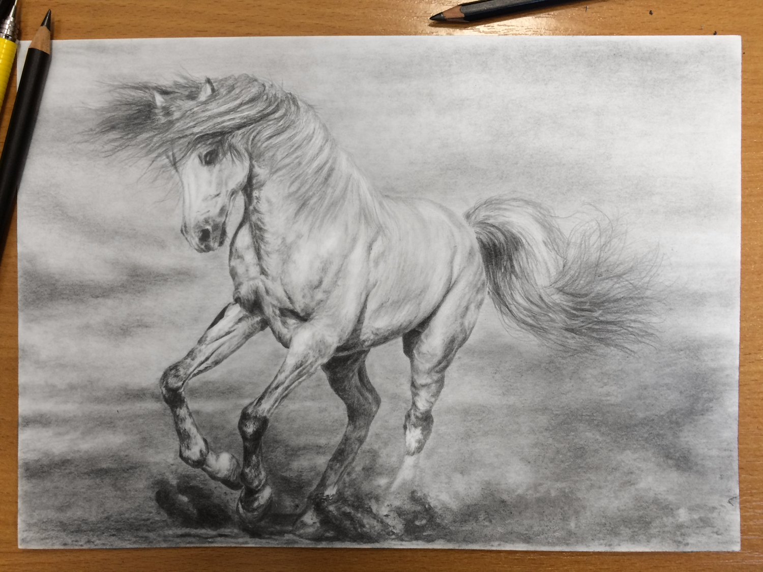 Horses - My, Pencil drawing, Graphics, Horses, Bra1neater