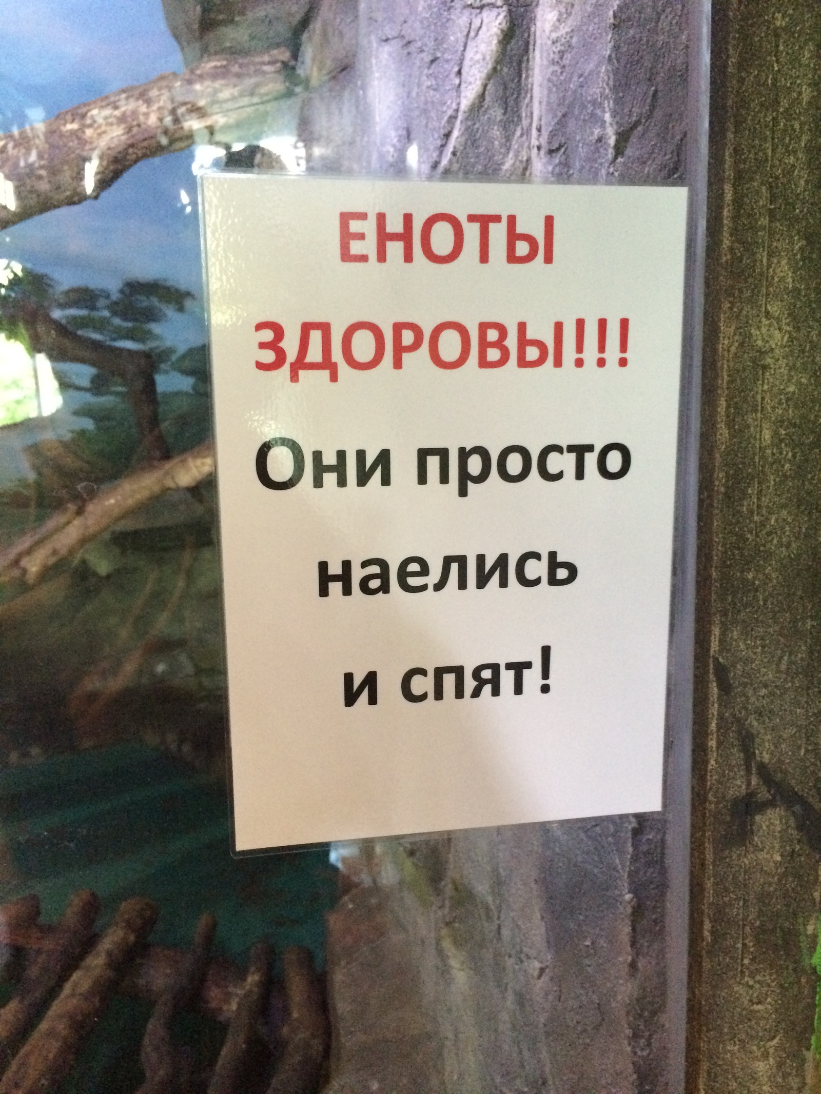 Кому на Руси жить хорошо | Пикабу