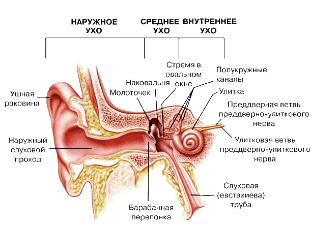 Пов’язане зображення