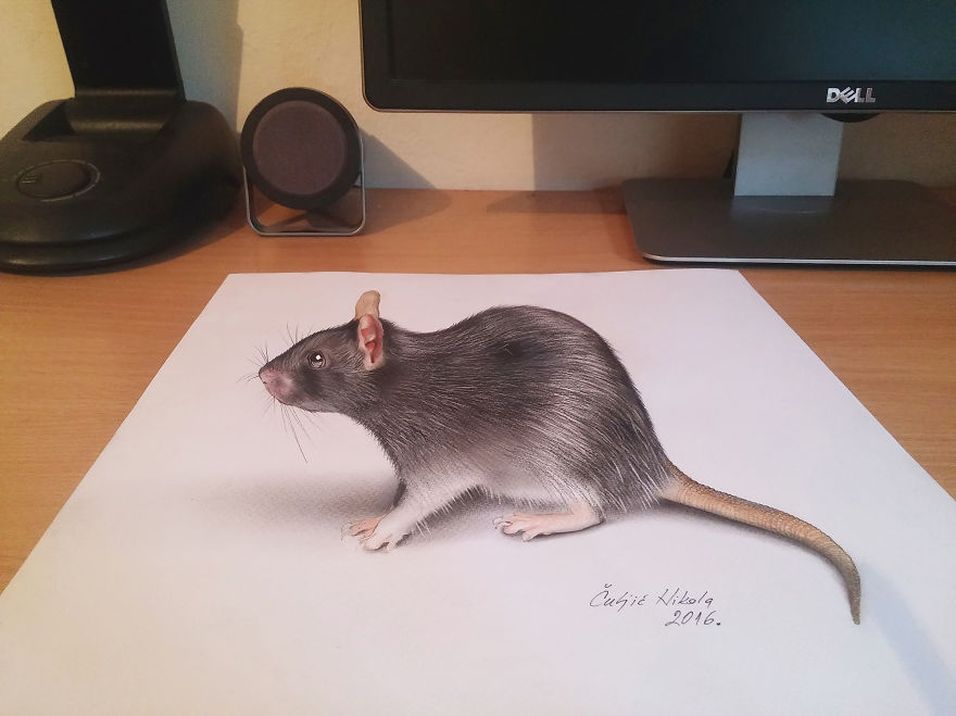 Удивительный 3D art | Пикабу
