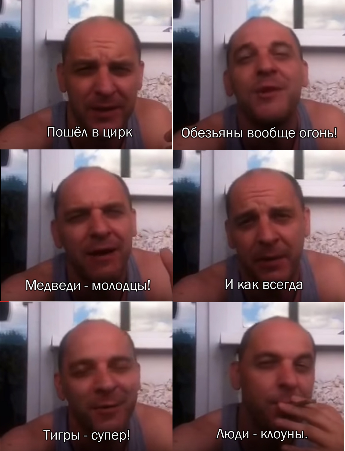 Цирк | Пикабу