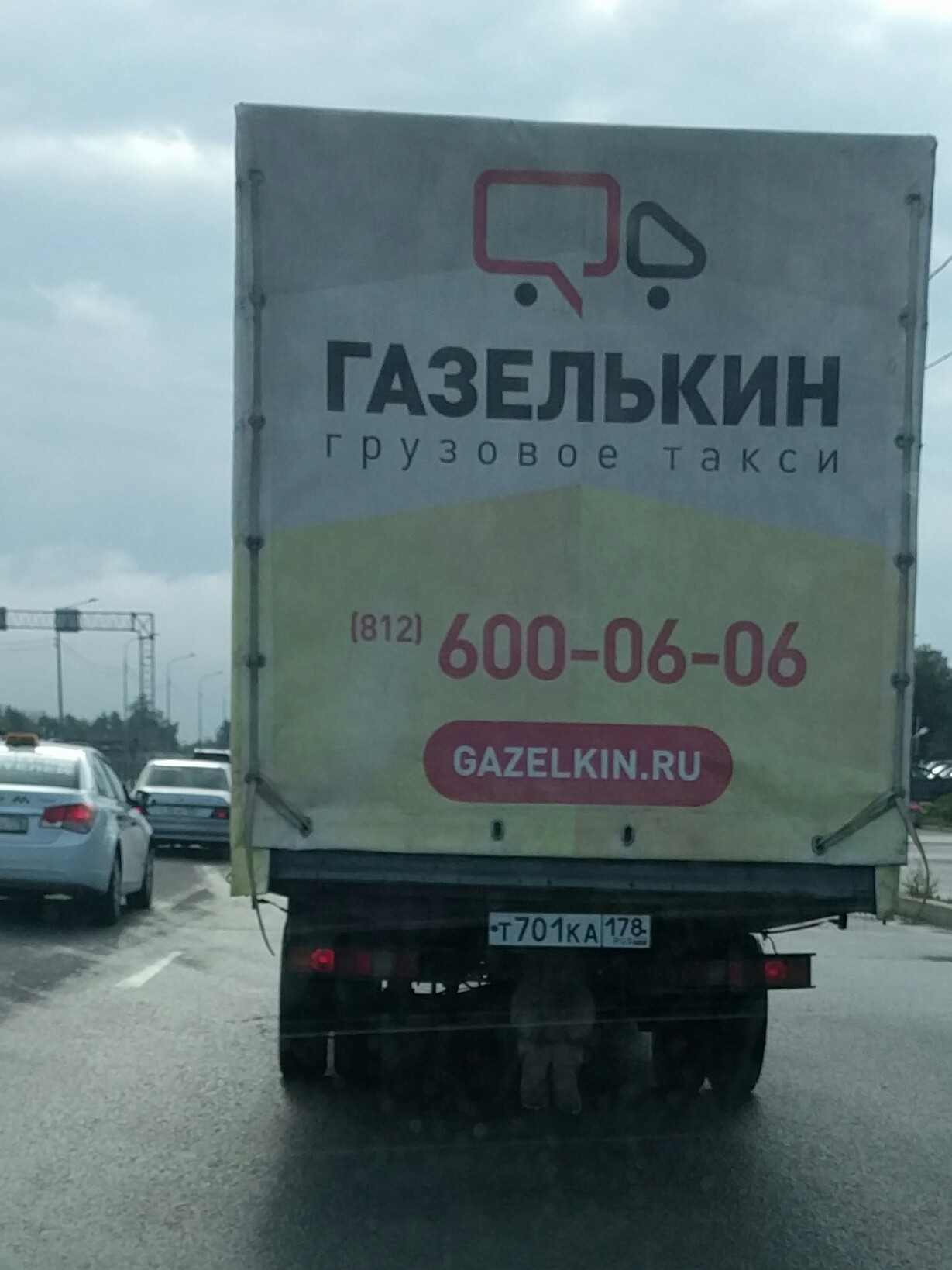 В США медведь напал на стрелявшего в оленя охотника - bestfordrivers.ru | Новости