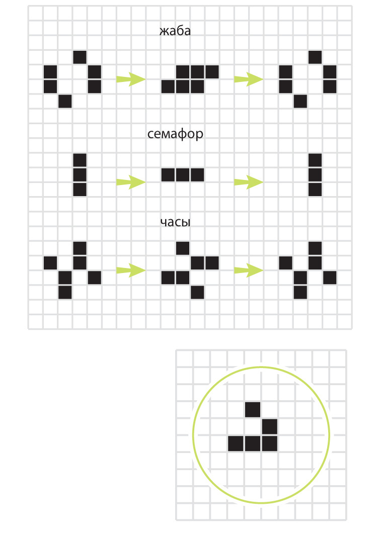 Клеточный автомат: возможна ли автоматическая жизнь? | Пикабу