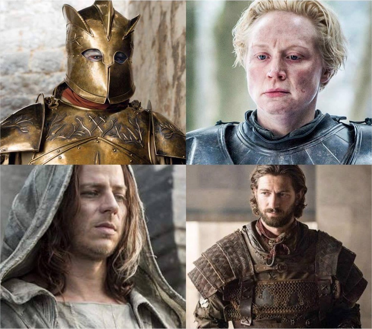 Who would you choose as your bodyguard? - My, Game of Thrones, Person, Brienne