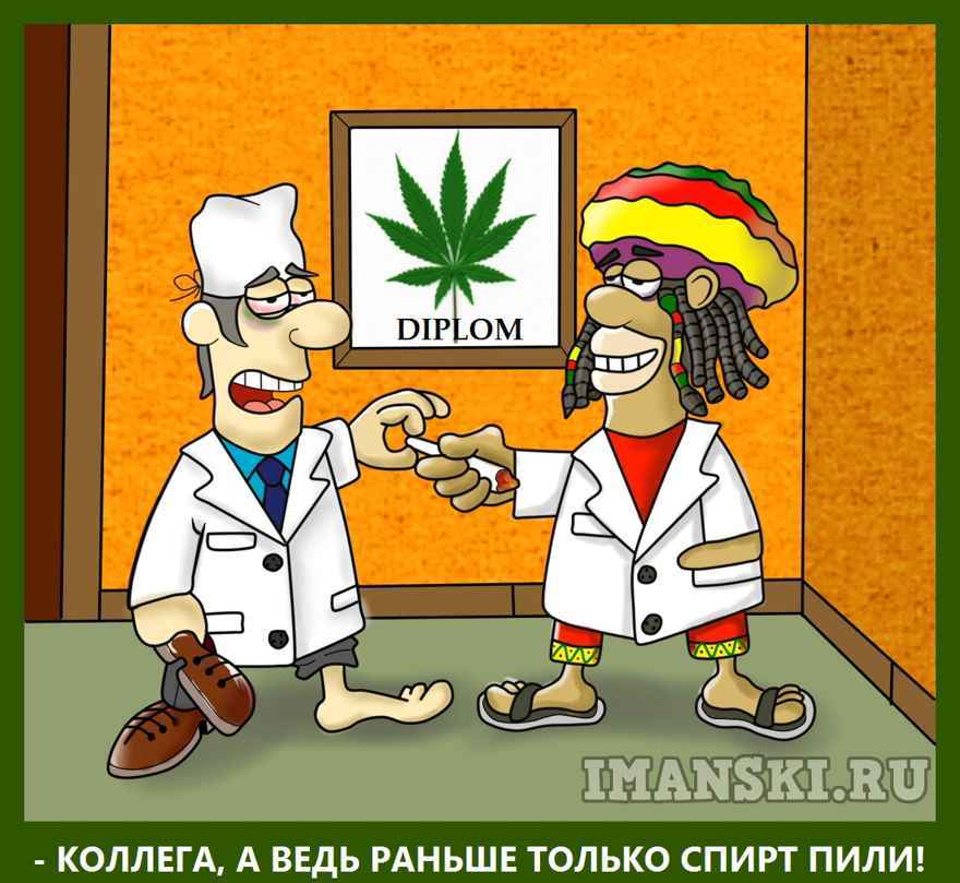 Разрешат ли в россии марихуану приколы коноплю видео