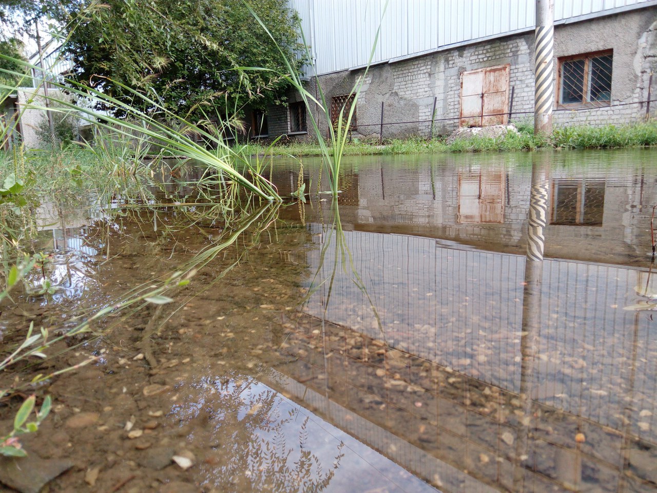 Just a flooded road - My, Saratov, Road