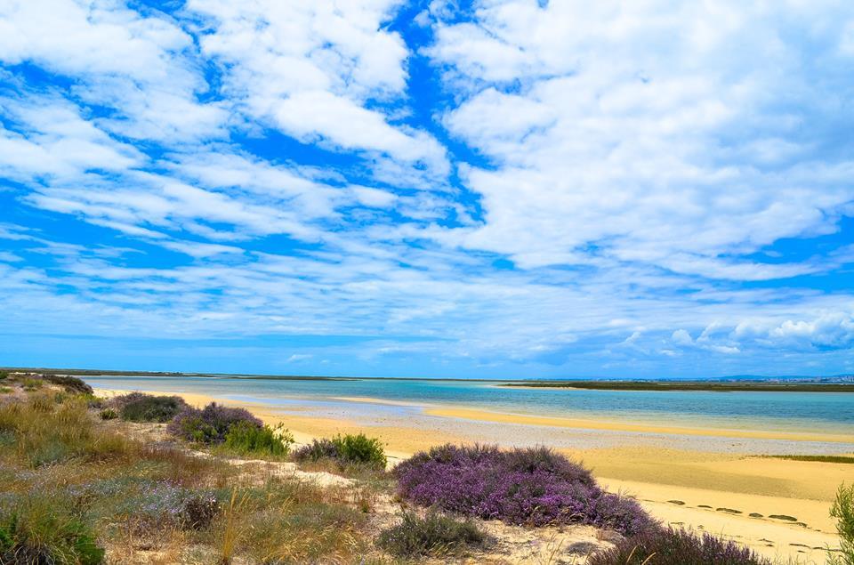 Португалия. Необитаемый остров Ilha Deserta - Моё, Португалия, Необитаемый остров, Фаро, Путешествия, Путешественники, Блогеры, Лето, Длиннопост