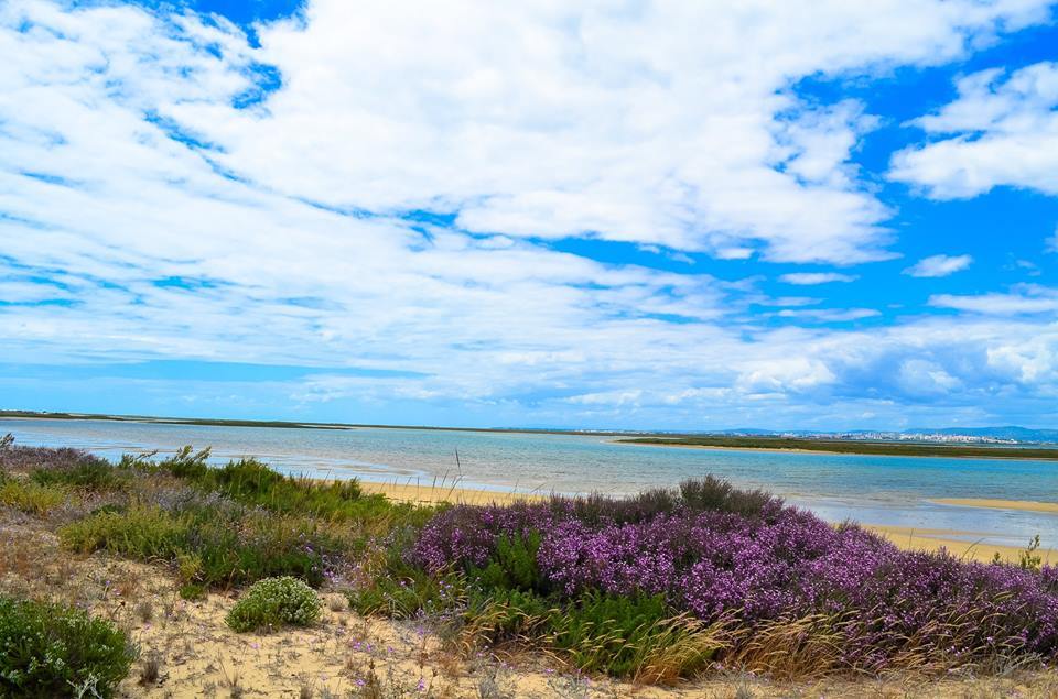 Португалия. Необитаемый остров Ilha Deserta - Моё, Португалия, Необитаемый остров, Фаро, Путешествия, Путешественники, Блогеры, Лето, Длиннопост