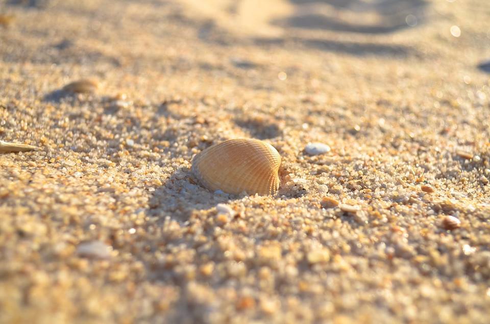 Португалия. Необитаемый остров Ilha Deserta - Моё, Португалия, Необитаемый остров, Фаро, Путешествия, Путешественники, Блогеры, Лето, Длиннопост