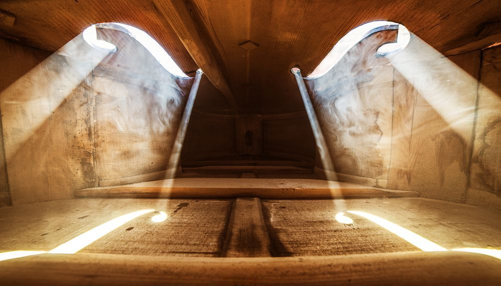 Inside the double bass - Inside, Contrabass, Photo