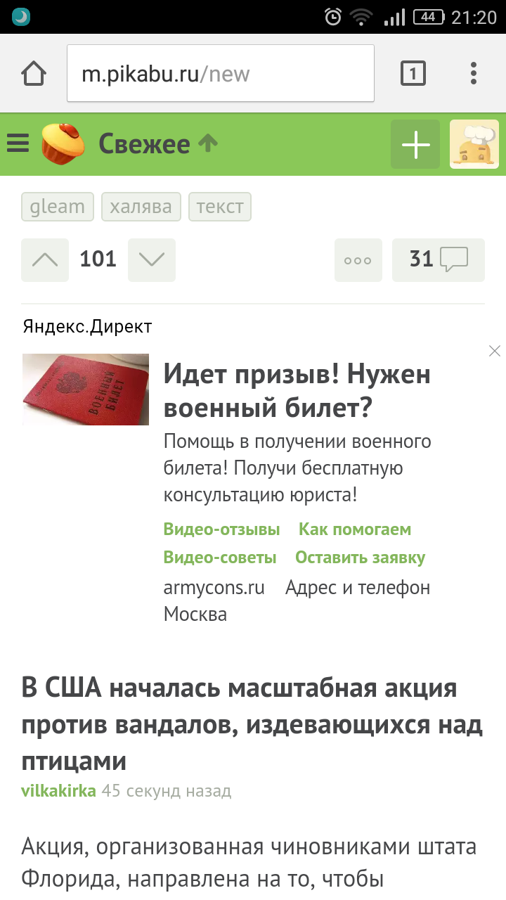 Это вообще законно? - Моё, Яндекс Директ, Армия, Юристы, Развод