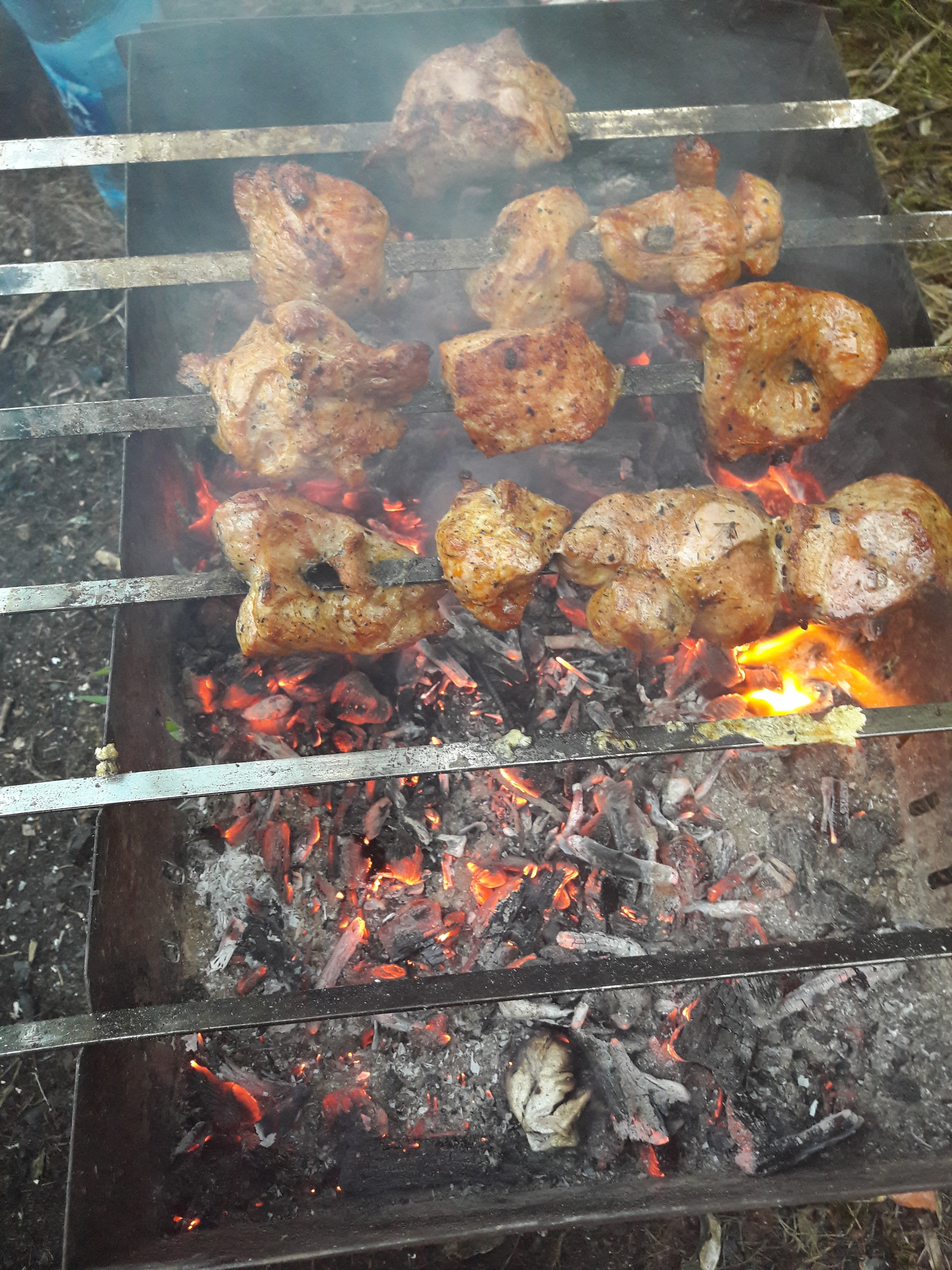 Stop sitting at the computer, go to barbecue like me!!! - My, Food, Yummy, Nature, Lake, Shashlik, Longpost