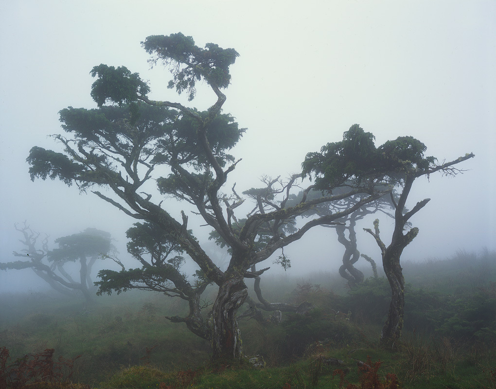 Fog on the mountainside. - My, Fog, Photo, The photo, Film, Travels