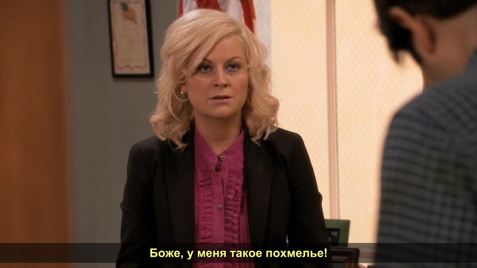 Похмелье. - Parks and recreations, S03e13, ТВ шоу, Раскадровка, Длиннопост, Сериалы