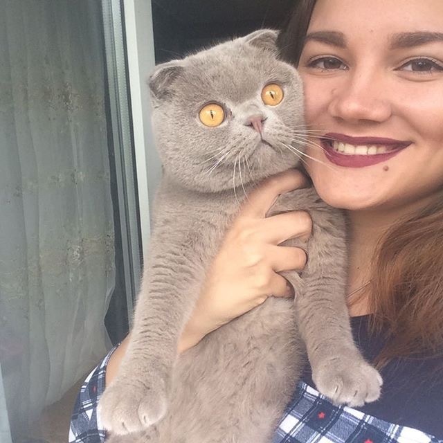 When you want to take a selfie with a cat, but he is not with you.. - cat, Selfie, I do not want, Longpost, Unwillingness