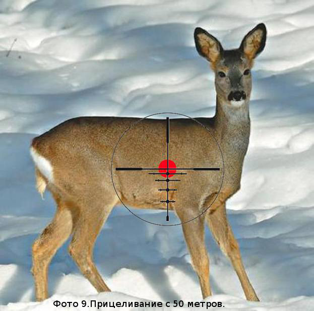 Pneumatics, bow, or crossbow? - Airguns, Crossbow, Onion, Block bow, Hunting, Cartridges, Video, Longpost